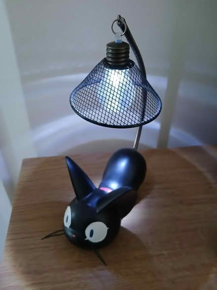 Photo of free Cat with light (Wallisdown BH12) #2
