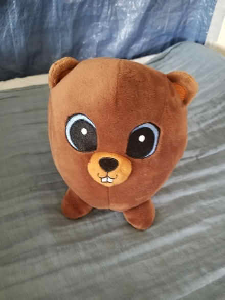 Photo of free Child's soft toy (Gloucester) #1
