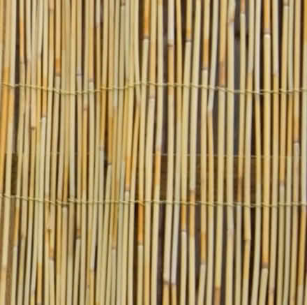 Photo of Bamboo/Reed screening (RG4) #1