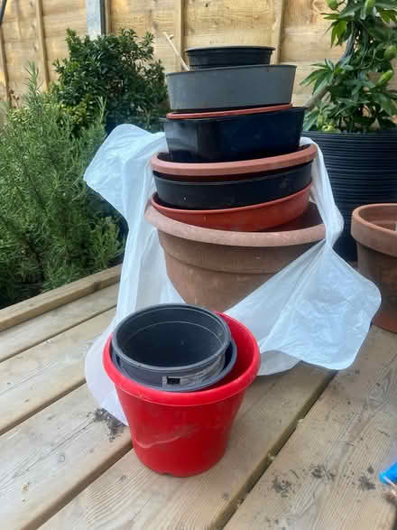 Photo of free 15x plastic plant pots various size (Tottenham, Bruce grove, N17) #1