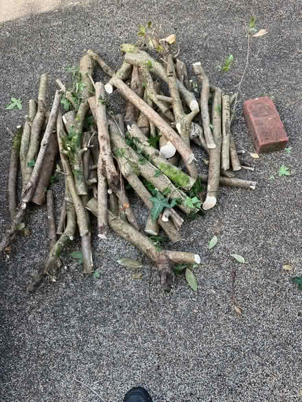Photo of free Logs for burning (Waterlooville) #1