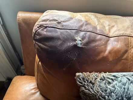 Photo of free Leather corner sofa (Old town SG1) #3