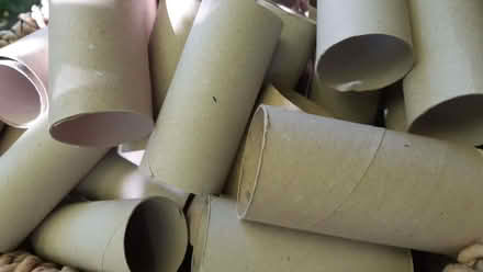 Photo of free Cardboard loo rolls (Kenilworth CV8) #1