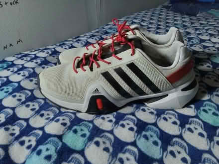 Photo of free Adidas 11.5 (Burien) #1