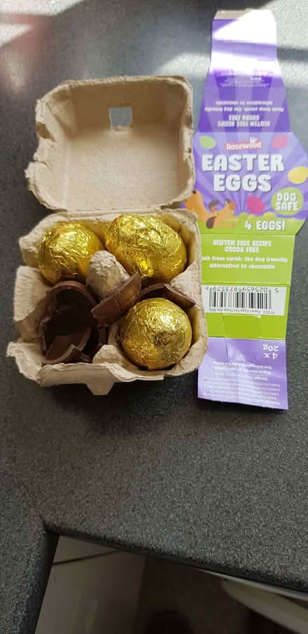 Photo of free Dog Chocolate Easter Eggs (Bexley DA1) #1