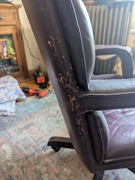 Photo of free Office chair, OWE, Toledo (Old West End, Toledo, OH) #2