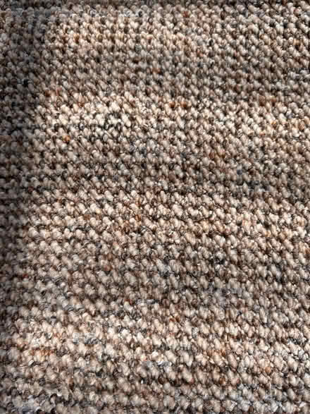 Photo of free Room size carpet roll, only been down a few months, no marks (Dresden ST3) #1