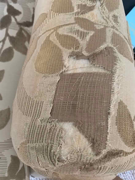 Photo of free Armchair (Lyme Green SK11) #3