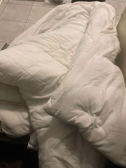 Photo of free Bedspread and king duvet (Lower Earley RG6) #3