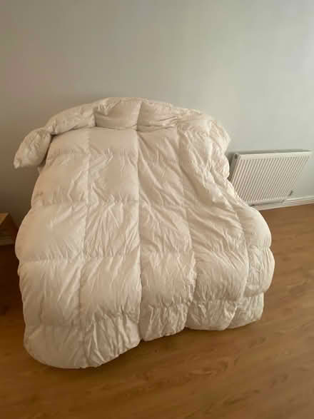 Photo of free Double duvet goose-down (TW2 7BB) #1