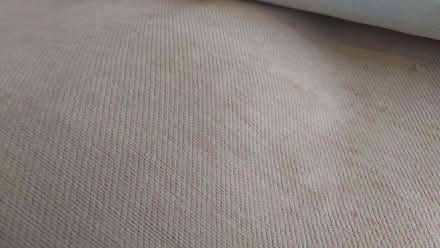 Photo of free Upholstery fabric 3m gold/yellow (Aldrington BN3) #1