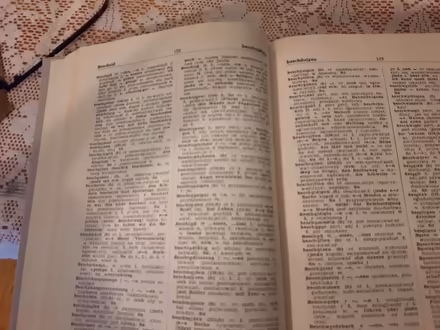 Photo of free Polish-German & reverse dictionary (near Britannia Plaza) #3