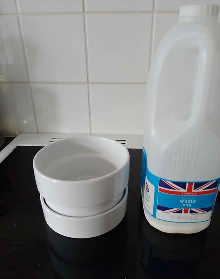 Photo of free China plant pot (Cowley Oxford) #1