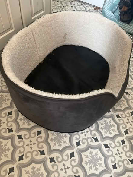 Photo of free Large dog bed (St Leonard’s) #1
