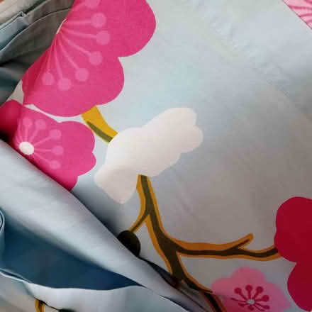 Photo of free duvet sets wadebridge (Egloshayle PL27) #2