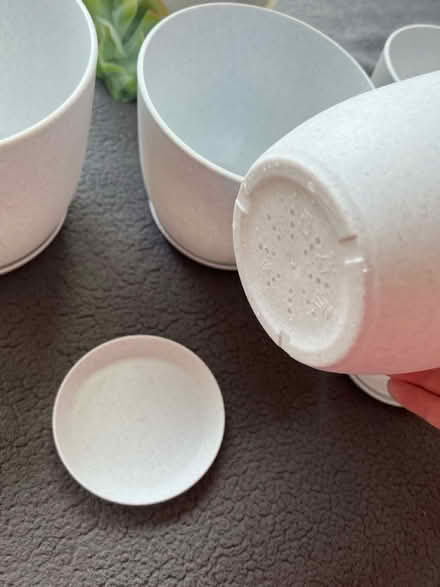 Photo of free plastic potters and succulent mix (South Loop) #3