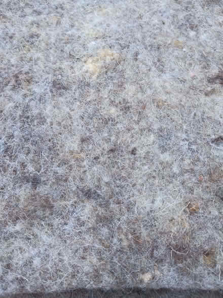 Photo of free Compressed sheep wool sheets (Bromham MK43) #2