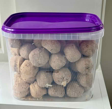 Photo of free 50 fat balls (without nets) (East Marden) #1