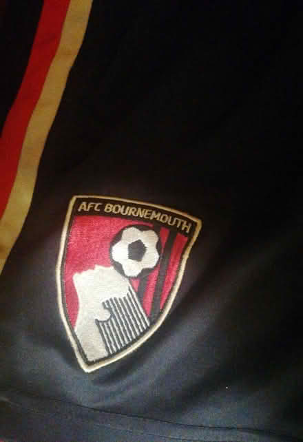 Photo of free Shorts (Parkstone BH14) #3