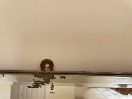Photo of free Mirror (Marcham OX13) #2