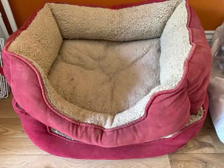 Photo of free 2 Dod / Cat beds (Bromham MK43) #1