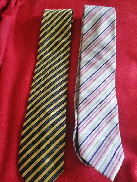 Photo of free Two ties (Worcester) #1