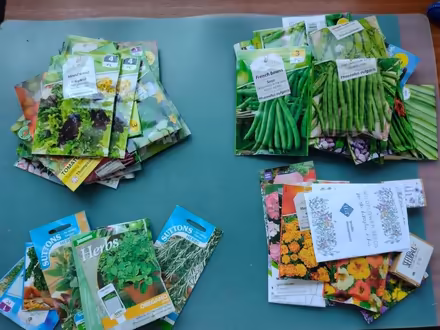 Photo of free 4 sets of seeds (Leicester LE1) #1