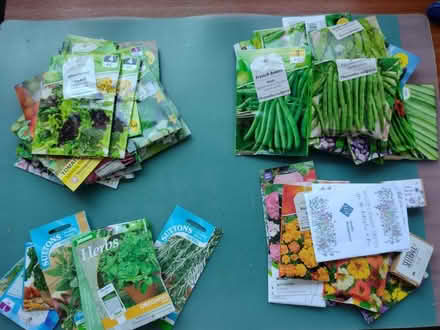 Photo of free 4 sets of seeds (Leicester LE1) #1
