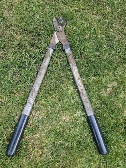 Photo of free Loppers (Bishops Waltham SO32) #1