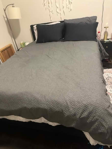 Photo of free Grey Queen comforter (Alameda) #1