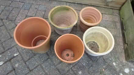 Photo of free Flower Pots (PO8) #1