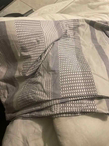Photo of free Bedspread and king duvet (Lower Earley RG6) #4