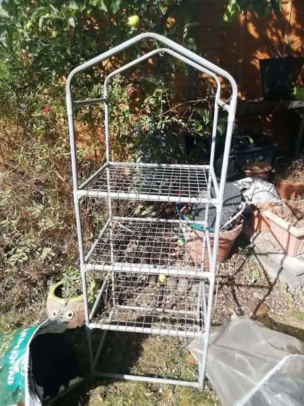 Photo of free Small, elderly greenhouse (Cowley OX4) #1