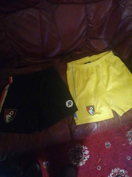 Photo of free Shorts (Parkstone BH14) #1