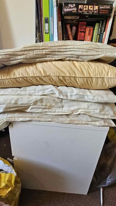 Photo of free 5 pillows (LS18 Horsforth Woodside) #1