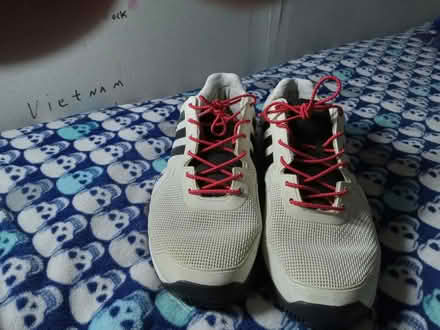 Photo of free Adidas 11.5 (Burien) #3