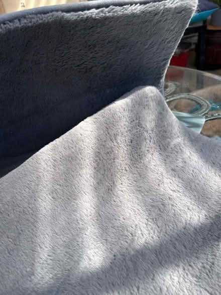 Photo of free Grey soft rug (Dresden ST3) #2