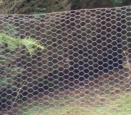 Photo of Chicken wire (Hazlemere HP15) #1