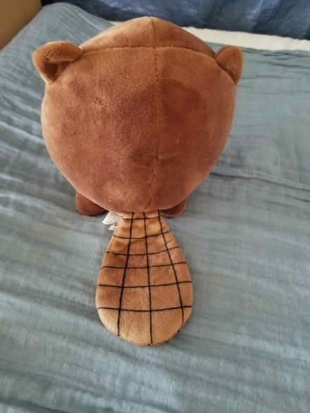 Photo of free Child's soft toy (Gloucester) #2