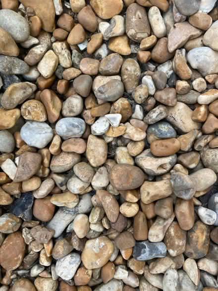 Photo of free Garden stones (Morningside) #2