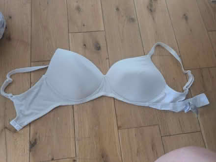 Photo of free 34 DD bra (Heaton NE6) #1