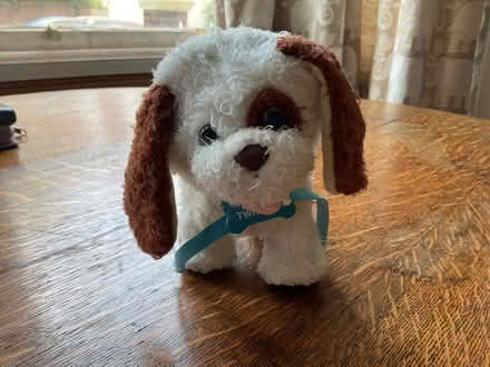 Photo of free Moving, barking toy puppy (West Hill TN34) #2
