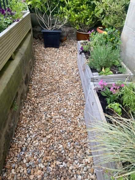 Photo of free Garden stones (Morningside) #1
