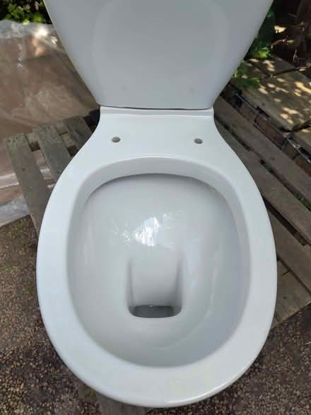 Photo of free Ceramic toilet (Lochend EH6) #2