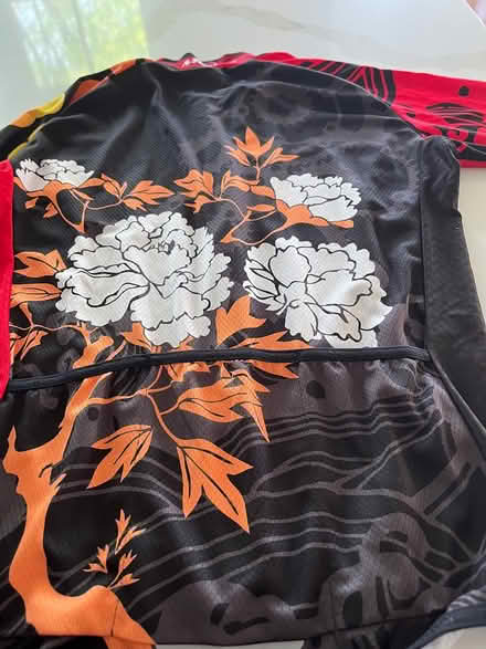 Photo of free Bike jersey- women’s (Mt. Kisco) #2