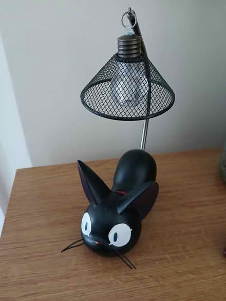 Photo of free Cat with light (Wallisdown BH12) #1