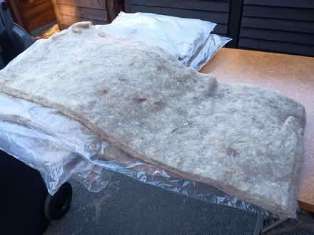Photo of free Compressed sheep wool sheets (Bromham MK43) #3