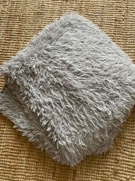 Photo of free Large cosy fluffy grey blanket, maybe for dog bed? (Lochend EH6) #1