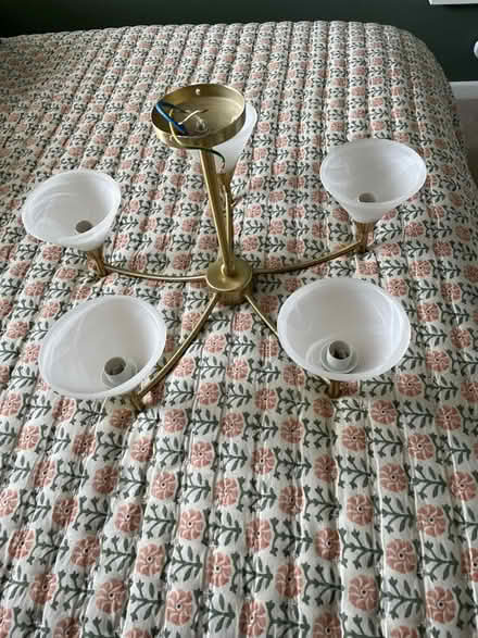 Photo of free Light (Selsey PO20) #1