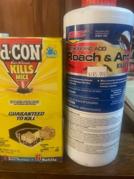 Photo of free Pest control (Harlem) #1